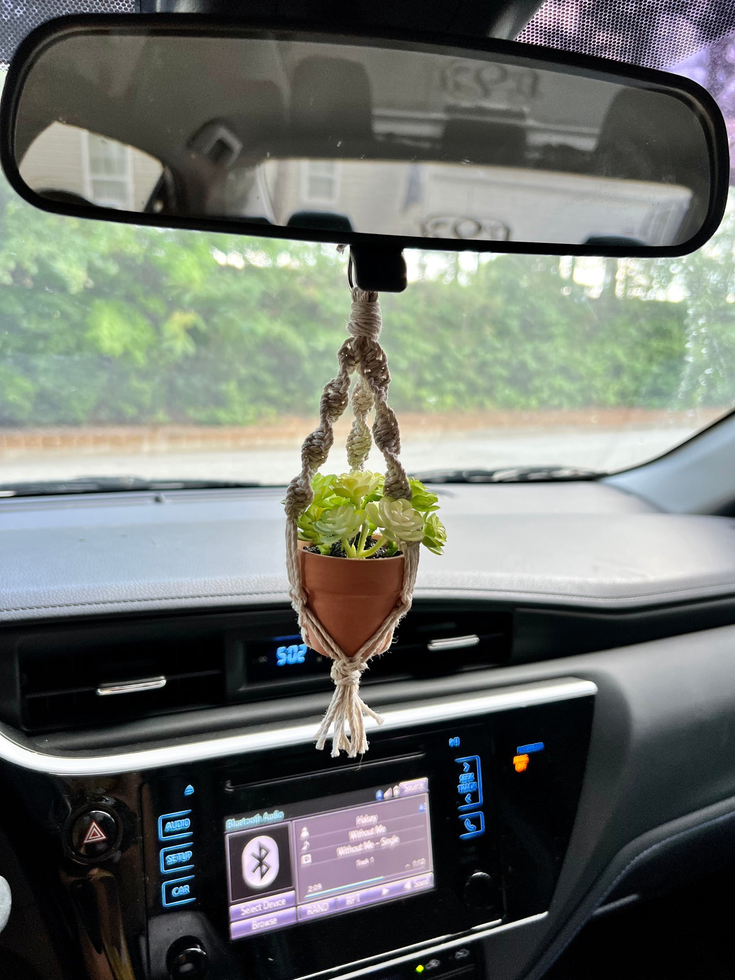 Cactus/ Succulent Car Charm