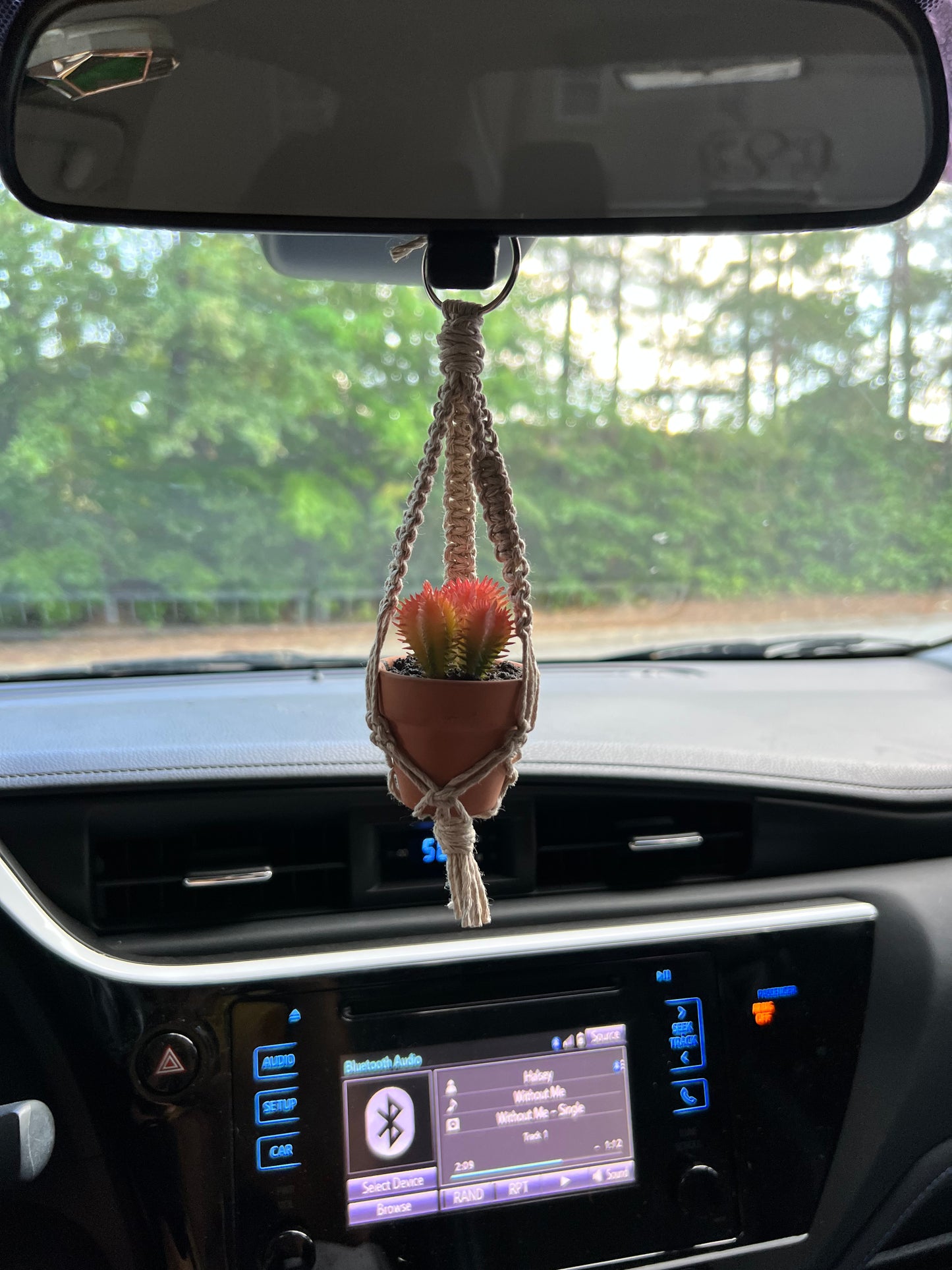 Cactus/ Succulent Car Charm